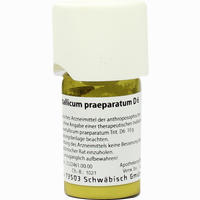 Ferrum Met Praep D6 Trituration 20 g