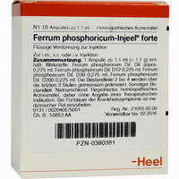 Ferrum Phosphoricum- Injeel Forte Ampullen 10 Stück