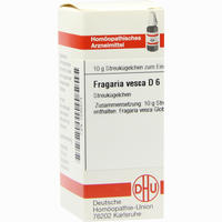 Fragaria Vesca D6 Globuli 10 g