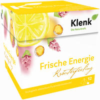 Frische Energie Pyramidenbeutel Tee 30 g