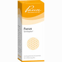 Fucus Similiaplex Tropfen 50 ml