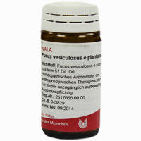 Fucus Vesicu E Pl Tota D6 Globuli 20 g