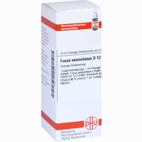 Fucus Vesicul D12 Dilution 20 ml