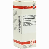 Fucus Vesicul D2 Dilution 20 ml