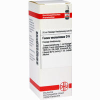 Fucus Vesicul D6 Dilution 20 ml