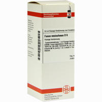 Fucus Vesicul D6 Dilution 50 ml