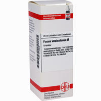 Fucus Vesicul Urtinktur D 1 Dilution 20 ml