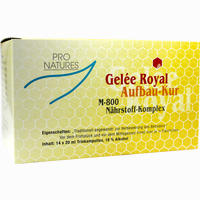 Gelee Royal Aufbaukur M- 800 Trinkampullen 14 x 20 g