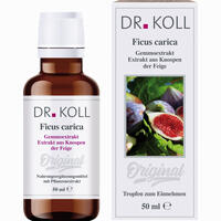 Abbildung von Gemmoextrakt Feige Tropfen 50 ml