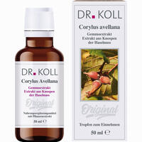 Gemmoextrakt Haselnuss Tropfen 50 ml
