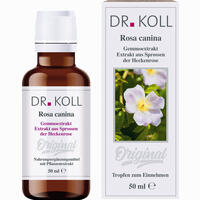 Gemmoextrakt Heckenrose Tropfen 50 ml