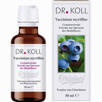 Gemmoextrakt Heidelbeere Tropfen 50 ml