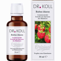 Gemmoextrakt Himbeere Tropfen 50 ml