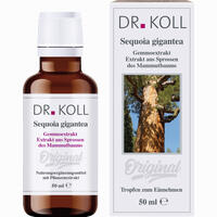 Gemmoextrakt Mammutbaum Tropfen 50 ml