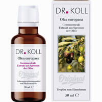 Gemmoextrakt Olive Tropfen 50 ml