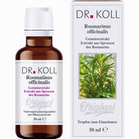 Abbildung von Gemmoextrakt Rosmarin Tropfen 50 ml