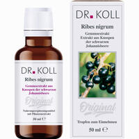 Gemmoextrakt Schwarze Johannisbeere Tropfen 50 ml