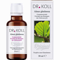 Gemmoextrakt Schwarzerle - Alnus Glutinosa Tropfen 50 ml