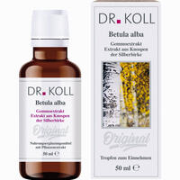 Gemmoextrakt Silberbirke Tropfen 50 ml