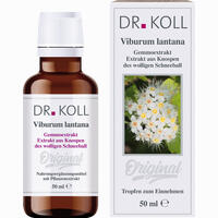 Gemmoextrakt Wolliger Schneeball Tropfen 50 ml