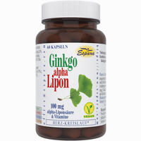Ginkgo- Alpha- Lipon Kapseln 60 Stück