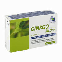 Ginkgo Biloba 100mg Kapseln + Vitamin- Komplex 48 Stück