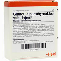 Glandula Parathyreoidea Suis- Injeel Ampullen 10 Stück