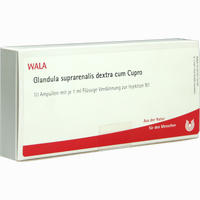 Glandula Suprarenalis Dextra Cum Cupro Ampullen 10 x 1 ml