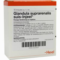 Glandula Suprarenalis Suis- Injeel Ampullen 10 Stück
