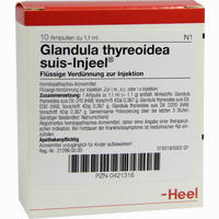 Glandula Thyreoidea Suis- Injeel Ampullen 10 Stück