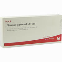Glandulae Supraren Gl D30 Ampullen 10 x 1 ml