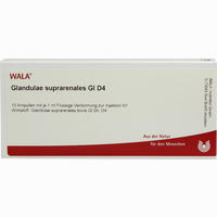 Glandulae Supraren Gl D4 Ampullen 10 x 1 ml