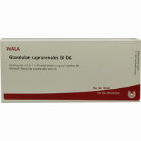 Glandulae Supraren Gl D6 Ampullen 10 x 1 ml