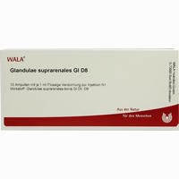 Glandulae Suprarena Gl D8 Ampullen 10 x 1 ml