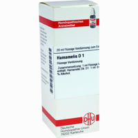 Hamamelis D 1 Dilution 20 ml