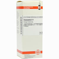 Hamamelis D 1 Dilution 50 ml