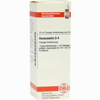 Hamamelis D4 Dilution 20 ml