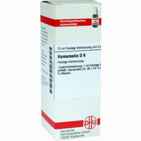 Hamamelis D6 Dilution 20 ml
