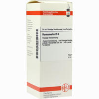 Hamamelis D6 Dilution 50 ml