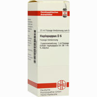 Haplopappus D6 Dilution 20 ml
