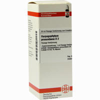 Harpagophytum Proc D2 Dilution 50 ml