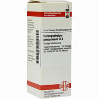 Harpagophytum Proc D4 Dilution 20 ml