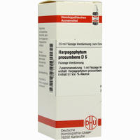 Harpagophytum Proc D6 Dilution 20 ml
