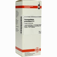 Harpagophytum Proc D6 Dilution 50 ml