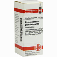 Harpagophytum Proc D6 Globuli 10 g