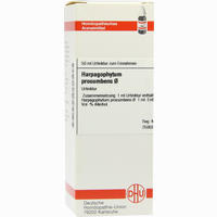 Harpagophytum Proc Urtinktur D 1 Dilution 50 ml