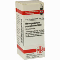 Harpagophytum Procum D30 Globuli 10 g