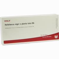 Helleborus Nig E Pl To D6 Ampullen 10 x 1 ml