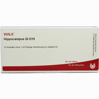 Hippocampus Gl D15 Ampullen 10 x 1 ml