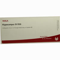 Hippocampus Gl D30 Ampullen 10 x 1 ml